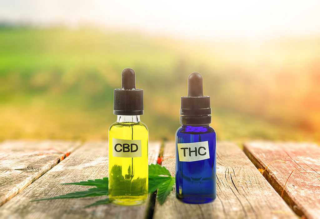 difference between THC and CBD Graphic